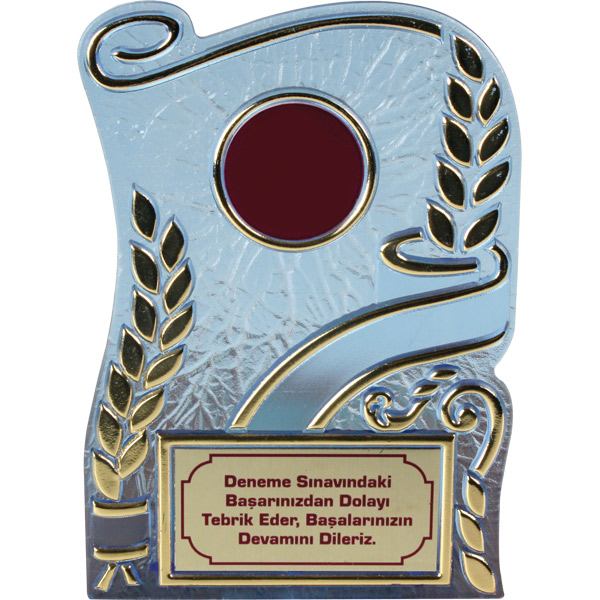 ST-6L-B PLAKET