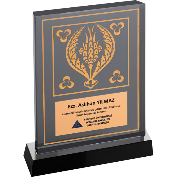EKT-120 KRİSTAL PLAKET