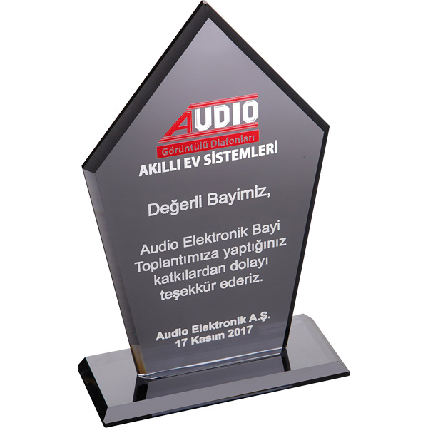 EKT-161-FM KRİSTAL PLAKET