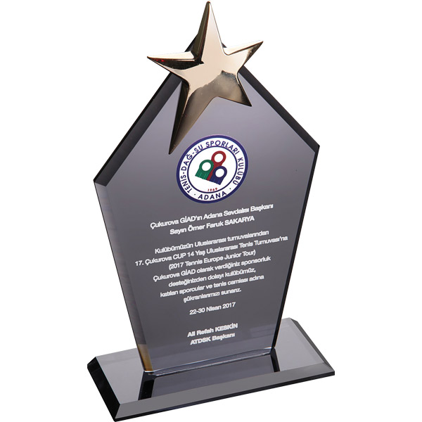 EKT-170-FM KRİSTAL PLAKET