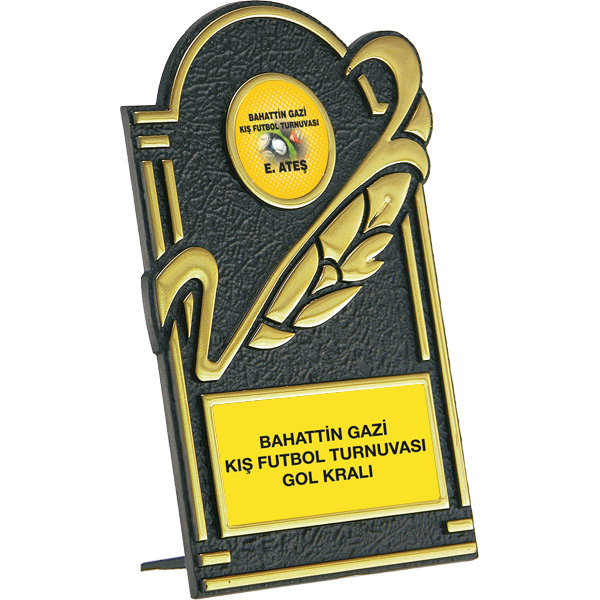 ST-15 PLAKET